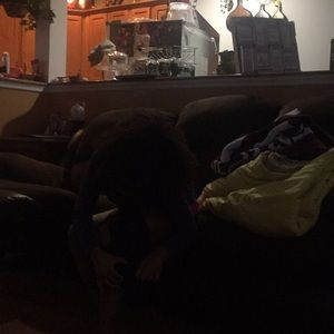 Meet your Posher, Jakim